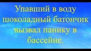 Анекдоты, смешные диалоги, цитаты, смс №23