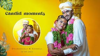 Dhamodharan & Sindhuja wedding candid | Black wolf photography  | Cinematic wedding video