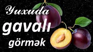 Yuxuda gavalı görmək  Qısa #yuxuyozma - SƏSLİ YUXU YOZMALARI