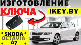 Шкода Октавия А7 сделать дубликат чип ключа зажигания в Минске Skoda Octavia Remote Key Programming