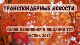 Новости эфирного тв. Сканируем эфирное тв, что нового? Какие каналы появились. Осень 2024.