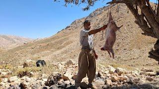 Iran nomadic life: Jahangir's journey to pastures and a butchery to prepare meat in the mountains