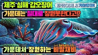 [4K] 제주 심해 갑오징어 낚시 가운데 자리에서 장원하기?? 심해 갑오징어 최강 채비까지!!
