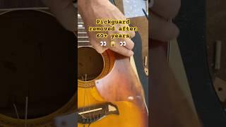Tanline Reveal   #guitar #notaluthier #diy #shorts #vintageguitar #guitar #acoustic #guitarrepair