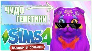 ЧУДО ГЕНЕТИКИ: Кошки и собаки / The Sims 4: Challenge