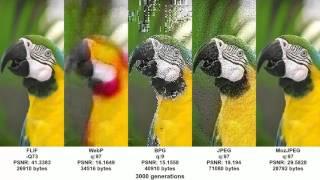 Generation loss at quality 97 or higher