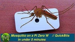 #142 MQTT Mosquitto on a Pi Zero W in under 5 minutes // Tutorial QuickBits