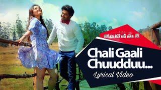 Chali Gaali Chuudduu Song With Lyrics || Gentleman Songs || Nani,Surabhi,NivedaThomas,Mani Sharmaa