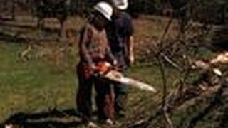 Trace's Chainsaw Lesson | United Bates of America