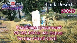 Кладбище предателей. Black Desert Фарм серебра 2020. Лучница. Новый спот.