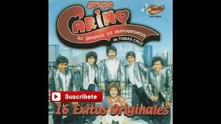 Grupo Carino - Teresa