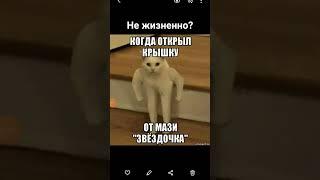 #meme #shorts #shortsvideo #top #dolinov #memes #vidosik