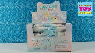 Square Cat Choco Teddy Ice Cool Pastel Blind Bag Figure Opening