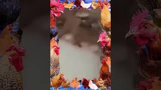 ВЫДАВЛИВАНИЕ ПРЫЩЕЙ ЧИСТКА КОЖИ