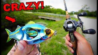 World's Craziest BIG SWIMBAIT Fishing Challenge (INSANE!)