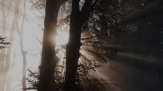 TVORCHI - Falling (GRODI Remix)
