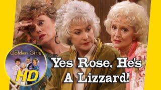 Stan is out of Dorothy's life forever & Rose misses Goofy! - Golden Girls HD
