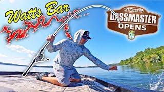 I Caught a DOUBLE DIGIT at my Fishing Tournament!