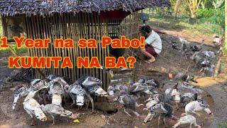 Sa mahigit isang taon Kumikita na ba Kami sa Pabo?