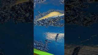 AUTOLUXE46  снятие ЛКП покраска под прибор #кузовныеработы #покраска  #сварочныеработы #autoluxe46