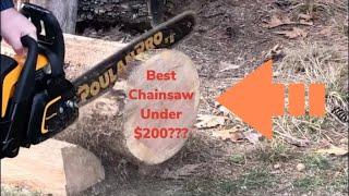 Is This The Cheapest Chainsaw? Poulan Pro 5020 Review