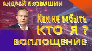 Андрей Яковишин. Как не забыть кто я? Воплощение.