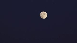 Night Moon (Ночная луна)