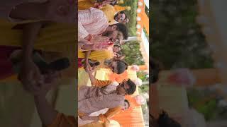 Lakhya & Soumya’s Haldi Reel EXPLODES with Color!  2025’s Viral Joy! #HaldiVibes