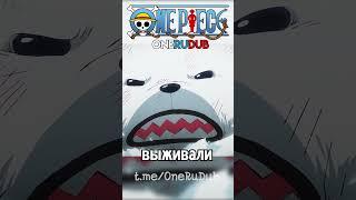 Бепо сбегает с Трафальгаром  #onepiece #озвучка #memes #ванпис  #anime #аниме #onerudub