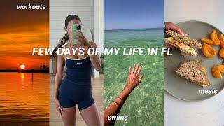 chill summer days in FL: meals, workouts, swims, beach life, home updates, etc.