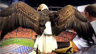 Challenger the Bald Eagle Flies During 9/11 Memorial