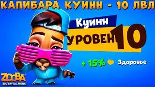 КАЧАЕМ МОДНУЮ КАПИБАРУ КУИНН НА 10 УРОВЕНЬ В ИГРЕ ZOOBA