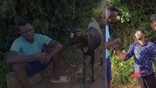 Wonders shall never end ...see how kamau visited Riaga inform of a goat.....