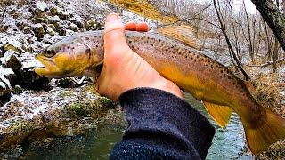 How to Hook Big Winter Trout with the Rapala Ultra Light Minnow - The Best Fishing Lure Ever!