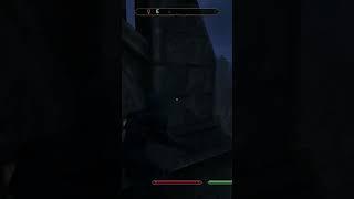 Best View in Leyawiin  -- Oblivion Remaster