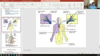 BCT: Lymph System Part 1