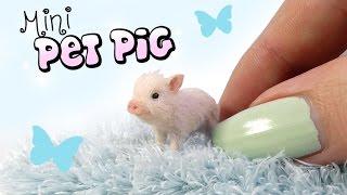 How To Mini Pet Pig Tutorial // DIY Doll Miniature Pig