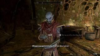 TES V: Skyrim - Dragonborn DLC: Master Neloth talks about Morrowind