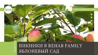 Как выглядит клиника Rehab Family изнутри? | Лечение психических расстройств с комфортом