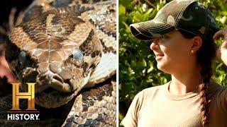 Vicious Pythons TAKE OVER a Citrus Farm | Swamp People: Serpent Invasion (Season 3)