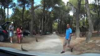 Driving on the island of Kos, Greece (Dashcam)