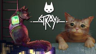 We've Made a Fatal Mistake  Stray • #1