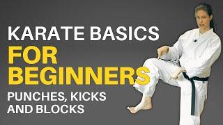 Karate Basics for Beginners (Follow-along Lesson)