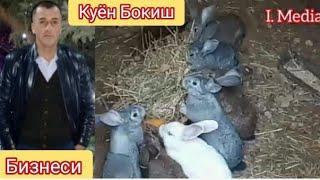 Куён Бокиш Бизнеси Уй шароитида