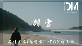 踏雪 - 等什麽君(鄧寓君)/FOX胡天渝『此去是江湖是滄海，我決不言敗』【動態歌詞】