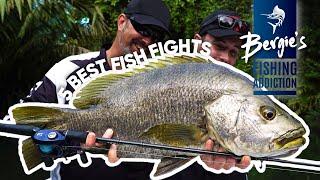 Top 5 Insane Fishing Moments Filmed Live!