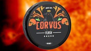 Обзор на СНЮС CORVUS FLASH