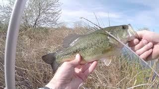 I'm Back In Action! Bass Fishing The Mason Valley One Day Opener