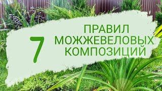 МОЖЖЕВЕЛОВЫЕ КОМПОЗИЦИИ В МОЁМ САДУ. 4.09.2023г. БЕЛАРУСЬ, ГОМЕЛЬСКАЯ ОБЛАСТЬ