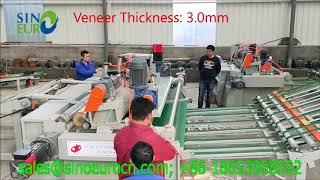 Full automatic 3mm thickness core veneer 8ft spindleless veneer peeling line